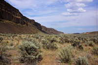 Moses Coulee Preserve